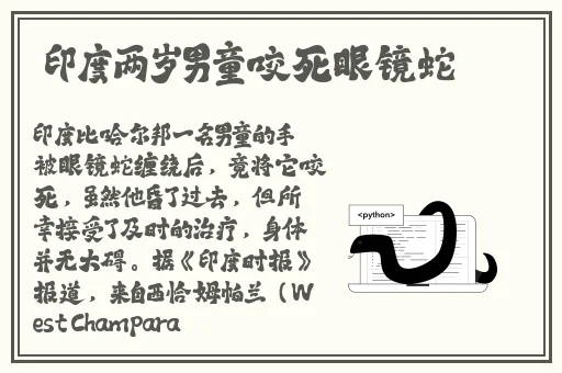 日韩在线视频观看免费网站